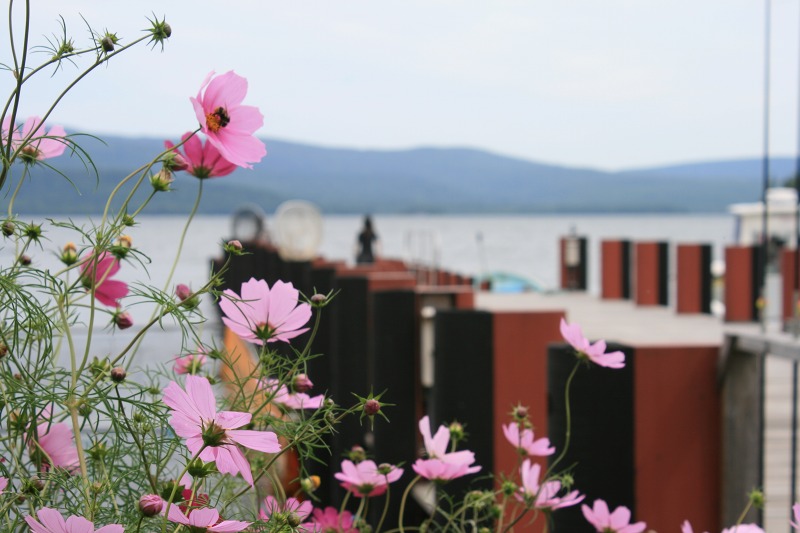 ファイル 216-1.jpg