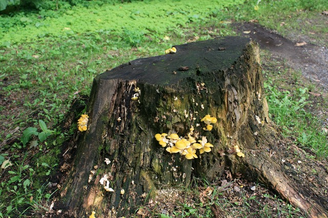 ファイル 216-2.jpg