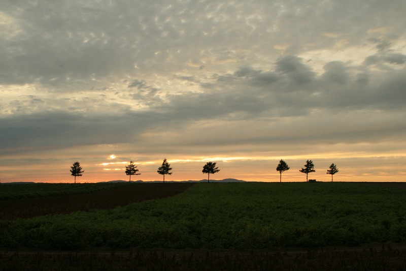 ファイル 219-1.jpg