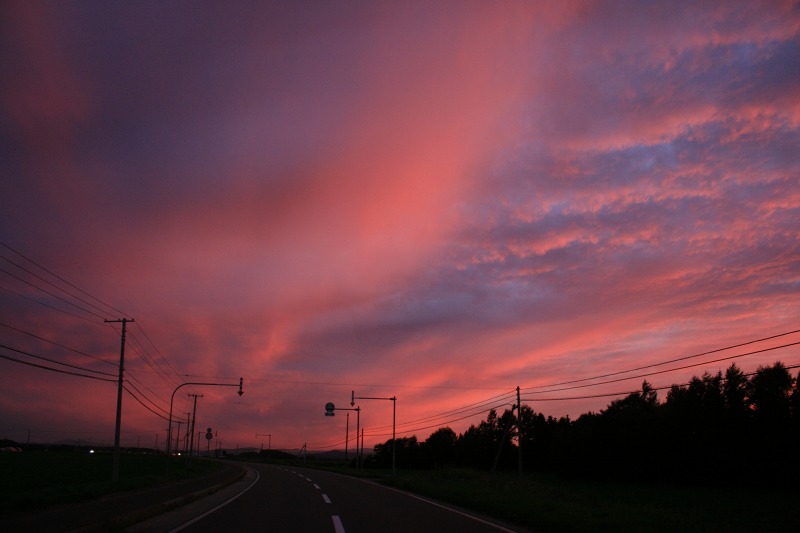 ファイル 219-2.jpg