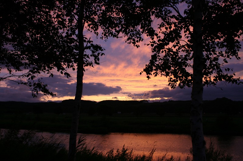 ファイル 219-3.jpg