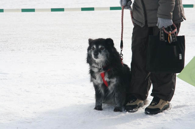 ファイル 22-2.jpg