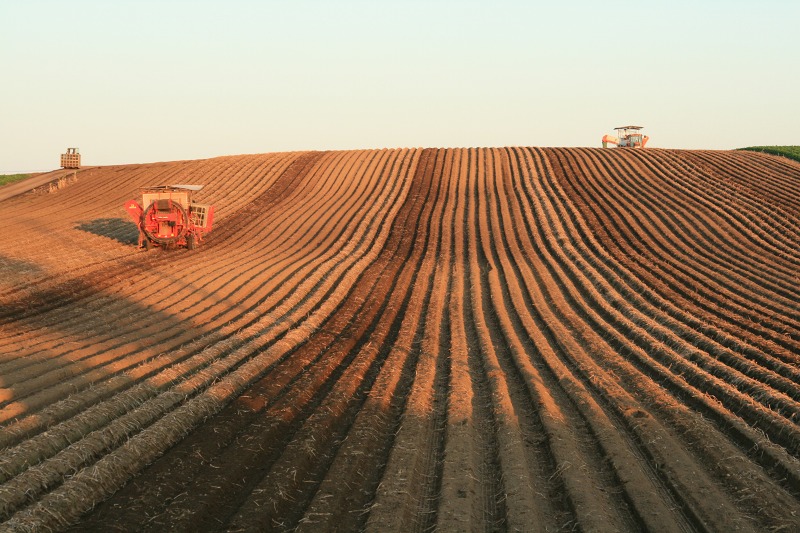 ファイル 220-1.jpg