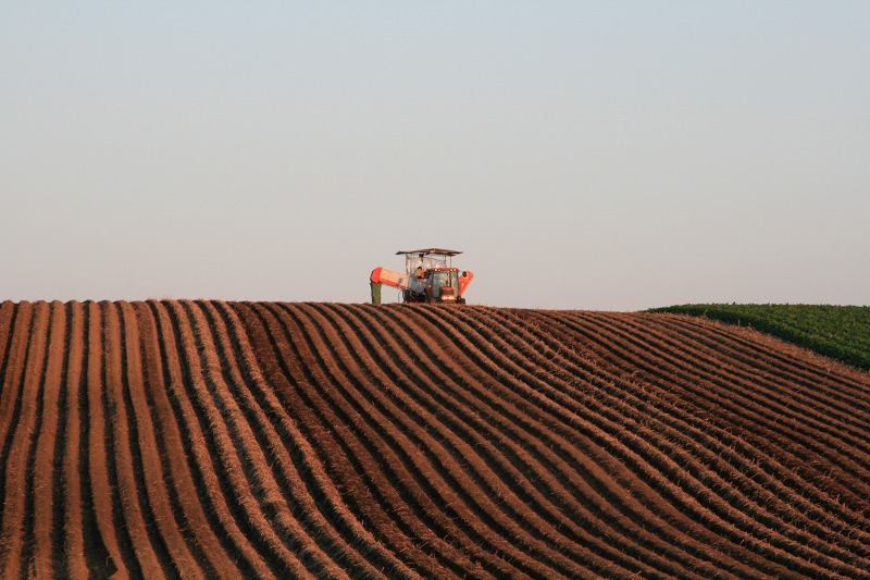 ファイル 220-2.jpg