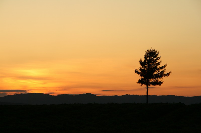 ファイル 221-2.jpg