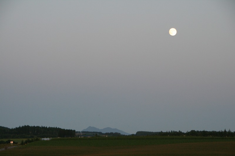 ファイル 221-3.jpg