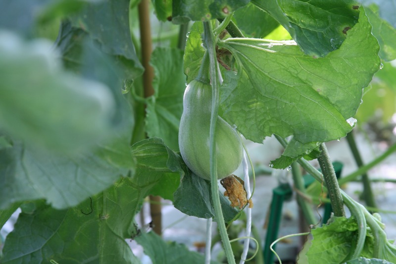 ファイル 221-5.jpg