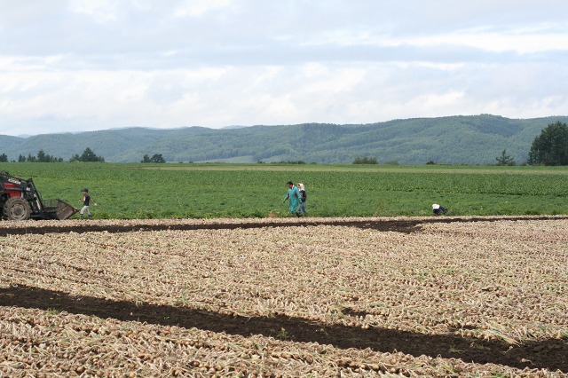 ファイル 222-1.jpg