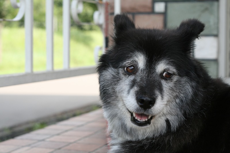 ファイル 222-3.jpg