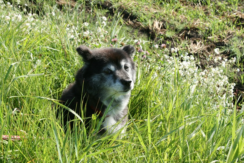 ファイル 222-4.jpg