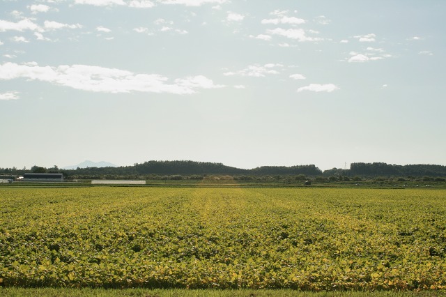 ファイル 225-1.jpg