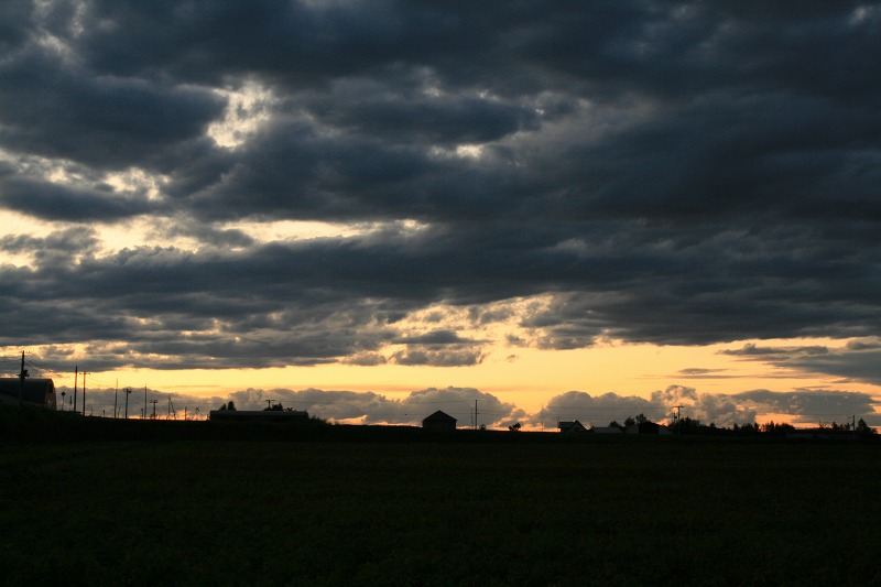 ファイル 225-2.jpg