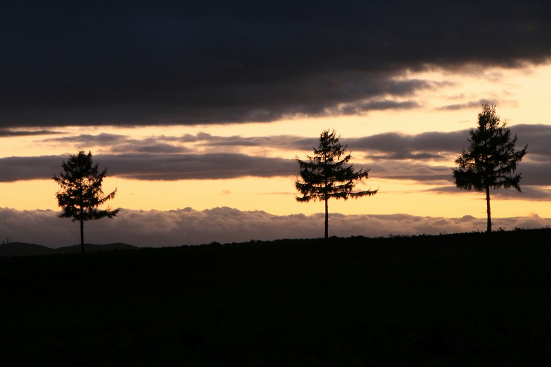 ファイル 226-2.jpg