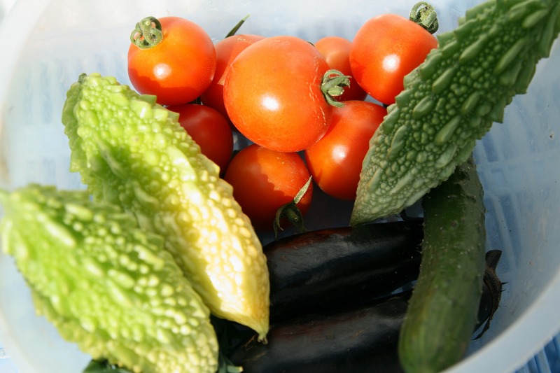 ファイル 244-4.jpg