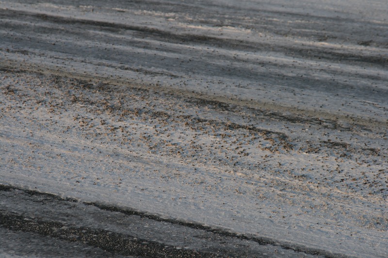 ファイル 26-3.jpg