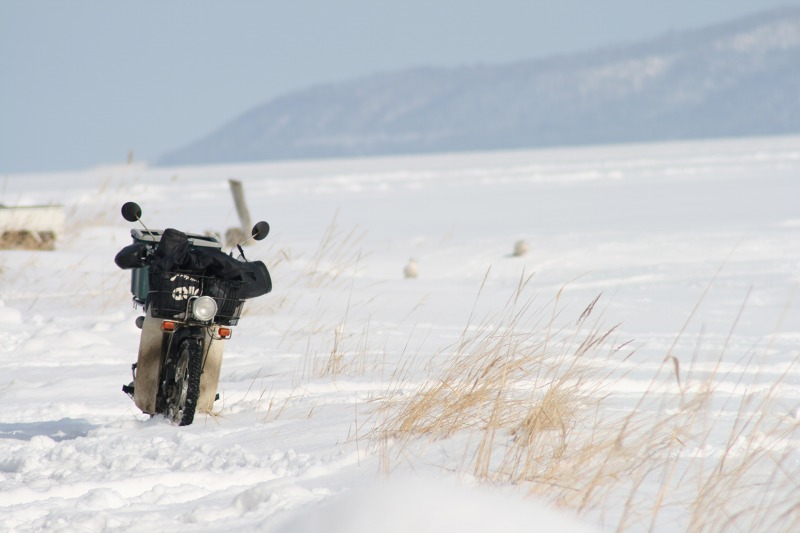 ファイル 27-3.jpg