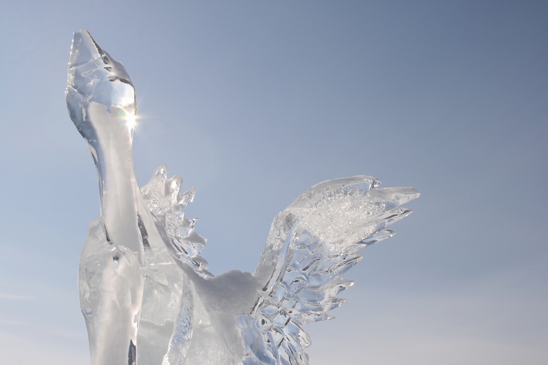 ファイル 28-1.jpg