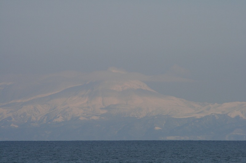 ファイル 29-1.jpg