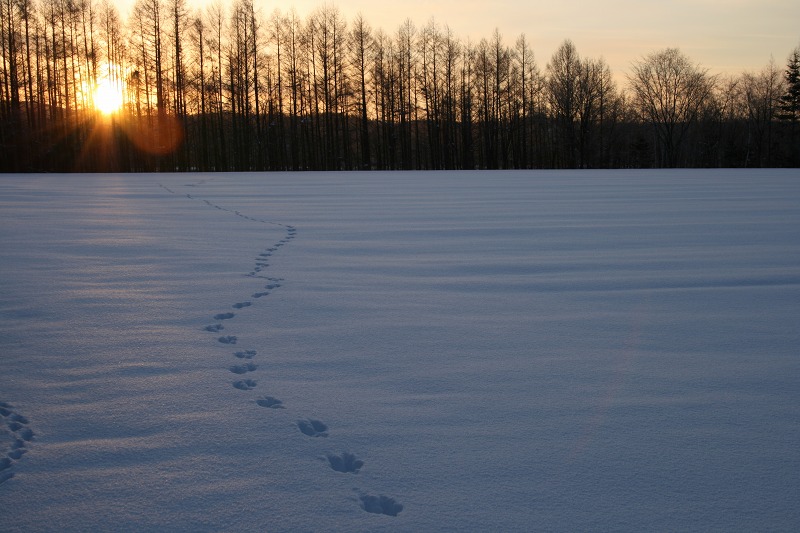 ファイル 3-1.jpg