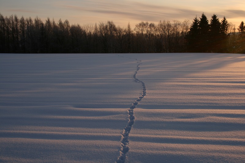 ファイル 3-2.jpg