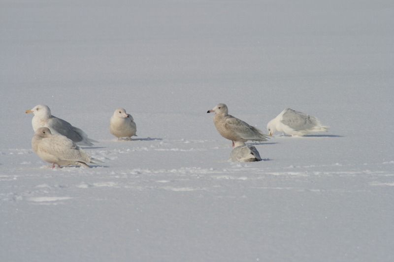 ファイル 30-2.jpg