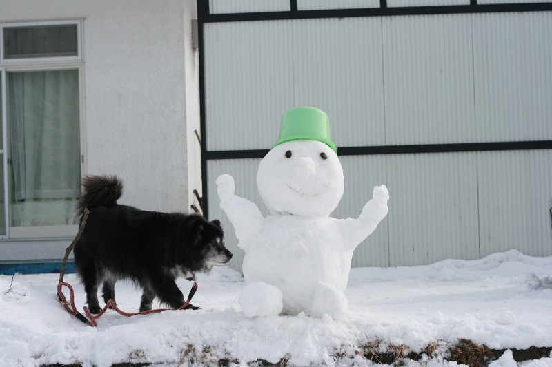 ファイル 32-1.jpg