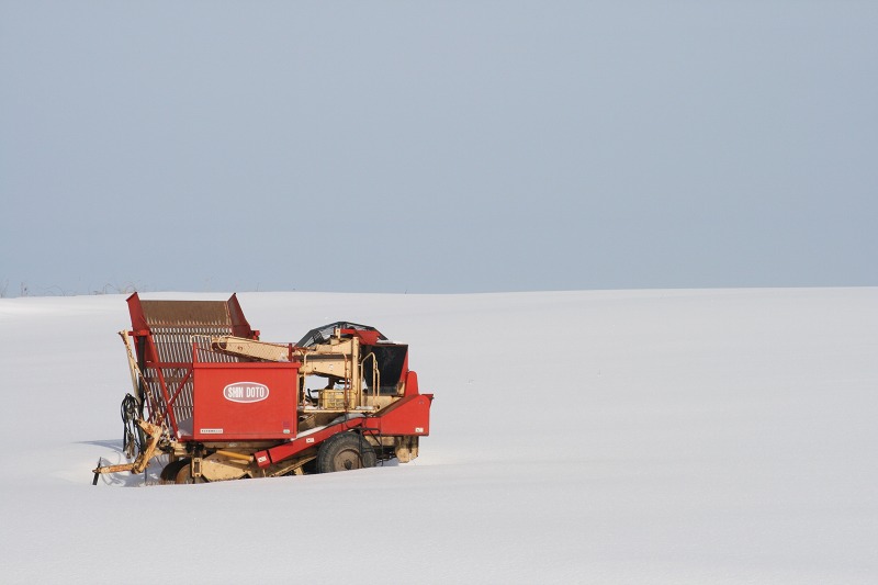 ファイル 35-1.jpg