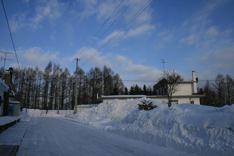 ファイル 36-1.jpg