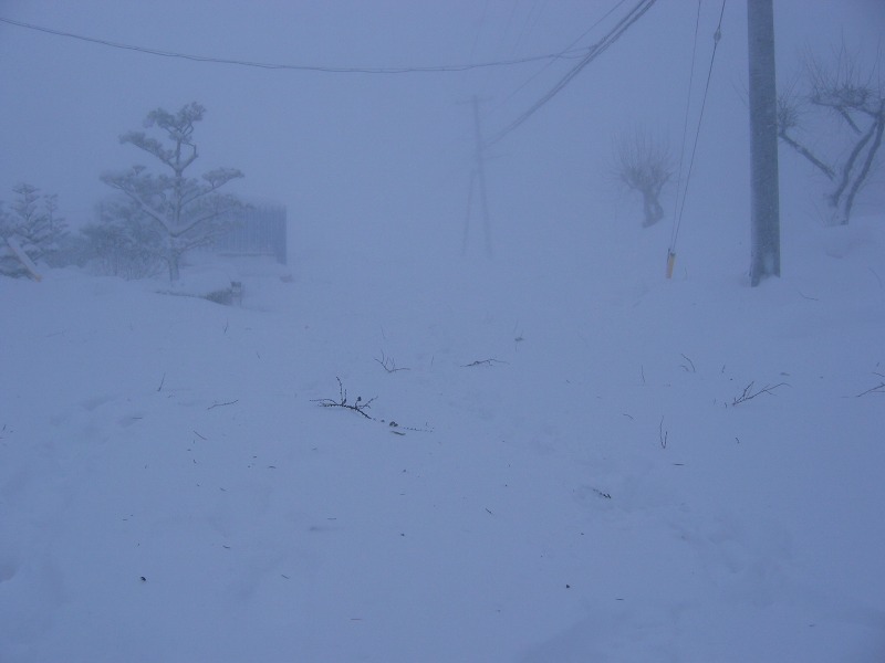 ファイル 37-2.jpg