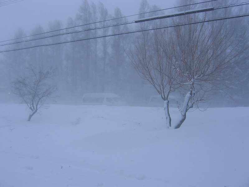 ファイル 37-4.jpg