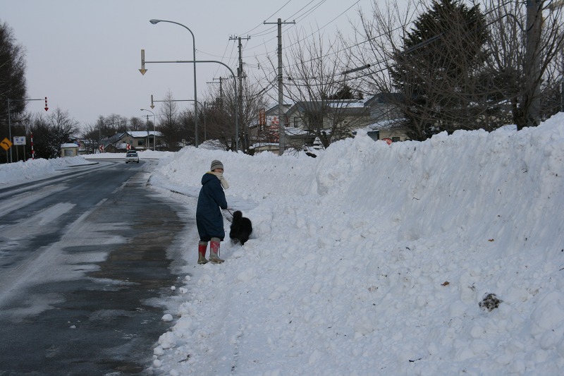 ファイル 38-3.jpg