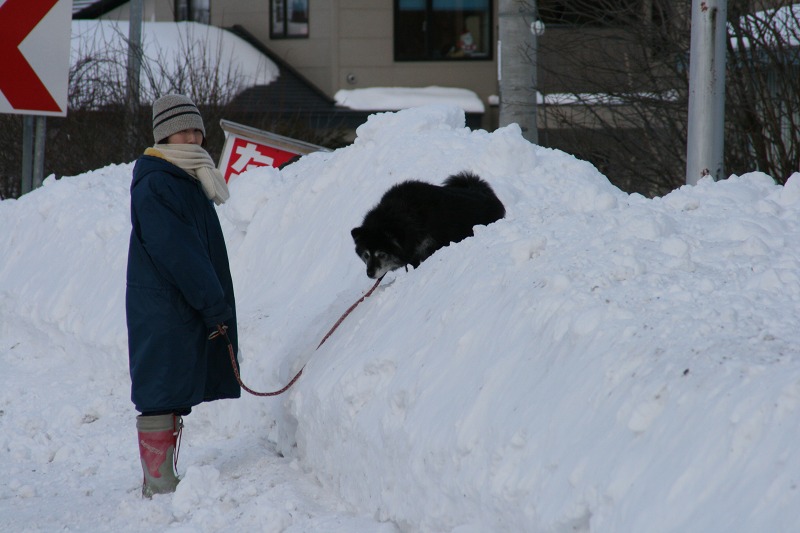 ファイル 38-4.jpg