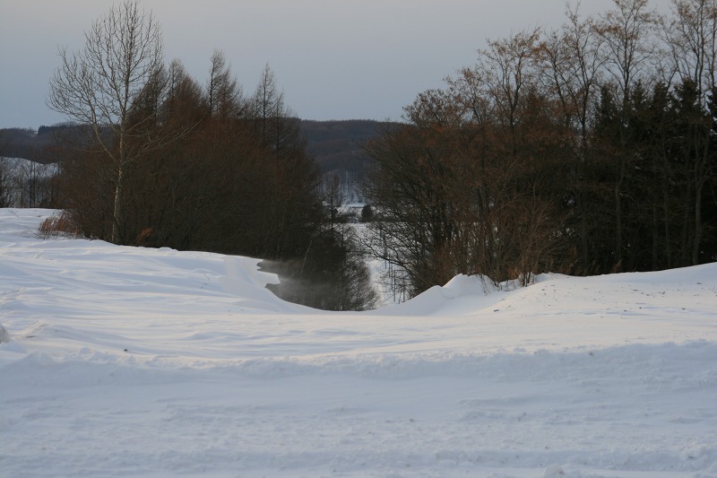 ファイル 38-5.jpg