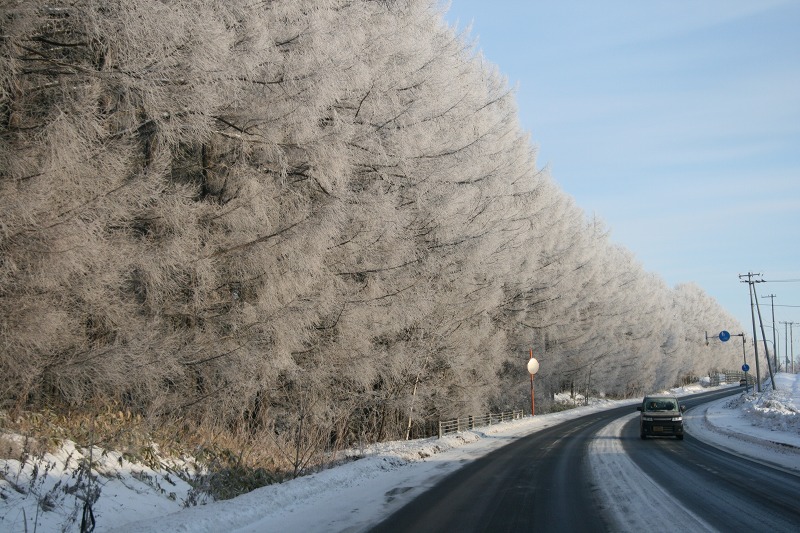 ファイル 4-1.jpg