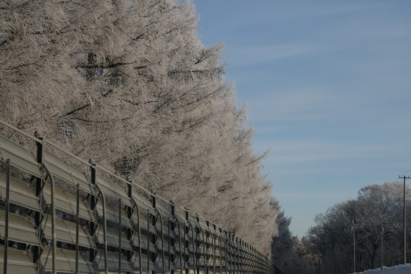 ファイル 4-2.jpg