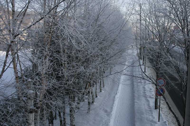 ファイル 4-3.jpg