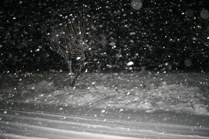 ファイル 4-4.jpg