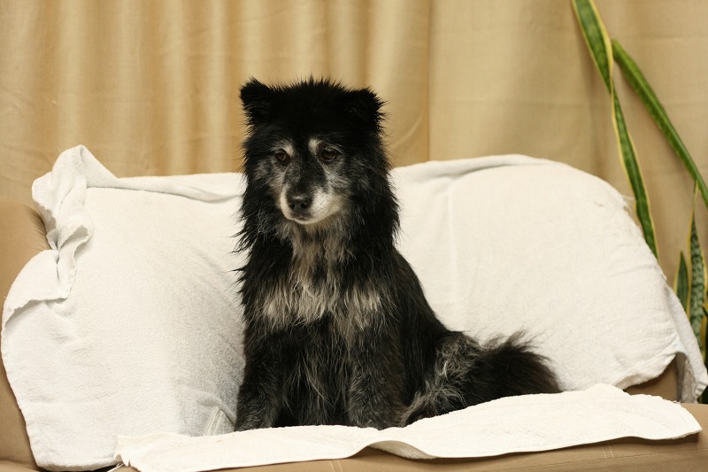 ファイル 41-1.jpg