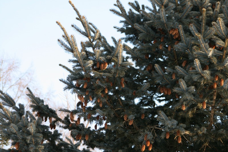 ファイル 43-2.jpg