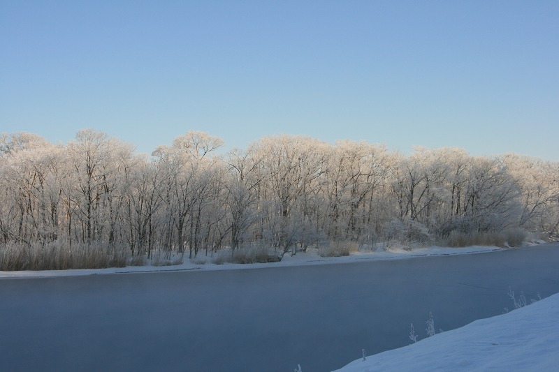 ファイル 45-3.jpg