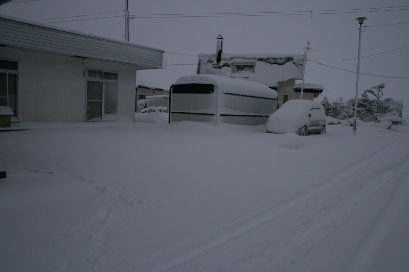 ファイル 5-1.jpg