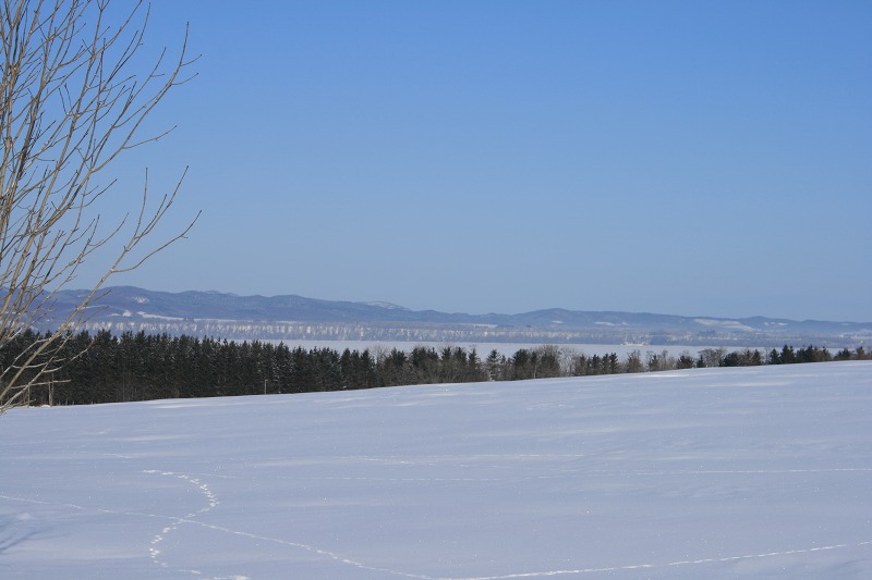 ファイル 52-1.jpg