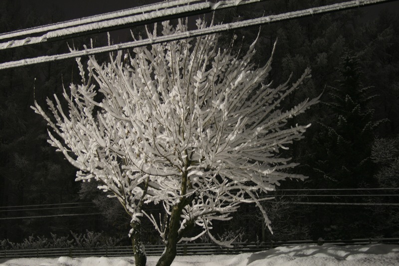 ファイル 52-3.jpg