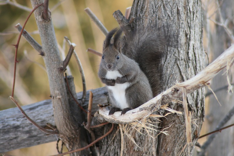 ファイル 53-1.jpg