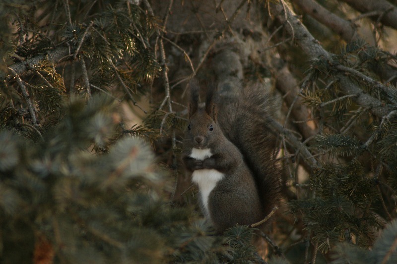 ファイル 53-3.jpg