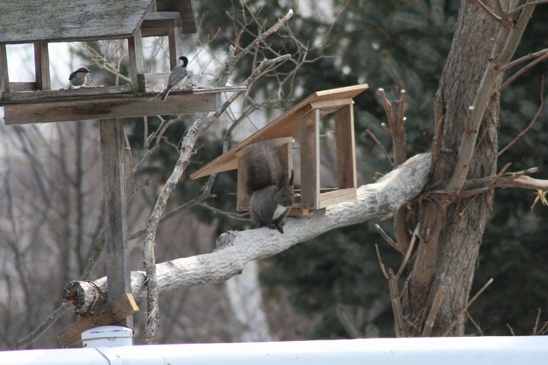 ファイル 55-1.jpg