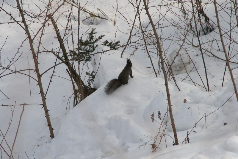 ファイル 55-3.jpg