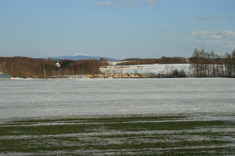 ファイル 56-1.jpg