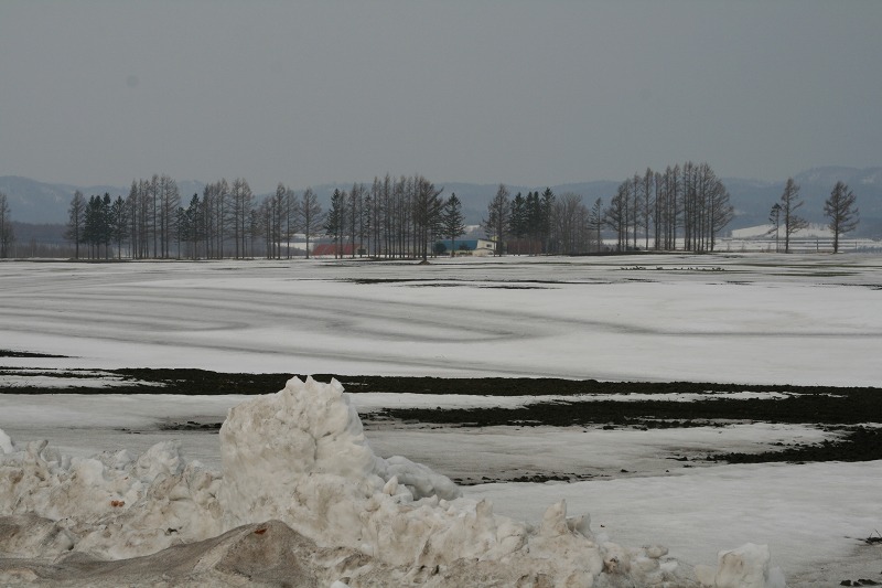 ファイル 58-1.jpg