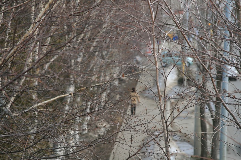 ファイル 58-2.jpg